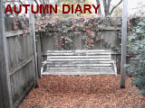 autumn_diary.gif